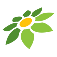 CHORDTELA SATU